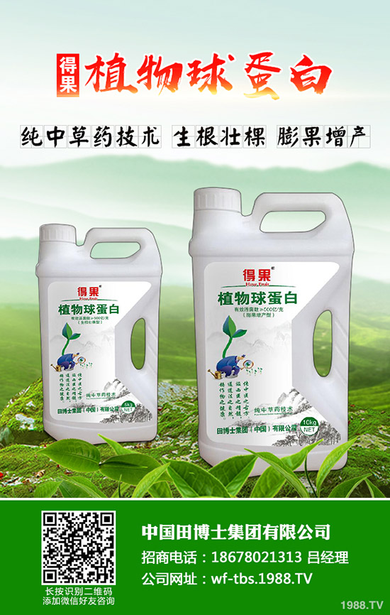 桃樹褐腐病癥狀及發(fā)病規(guī)律，桃樹褐腐病怎么防治？