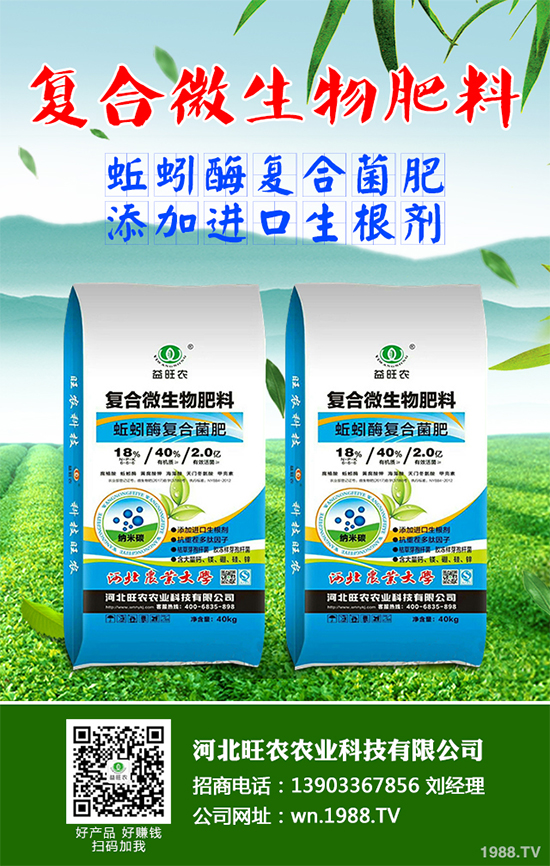 洋桔梗該如何種植？洋桔梗栽培種植技術(shù)