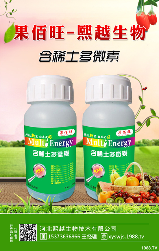 洋桔梗該如何種植？洋桔梗栽培種植技術(shù)