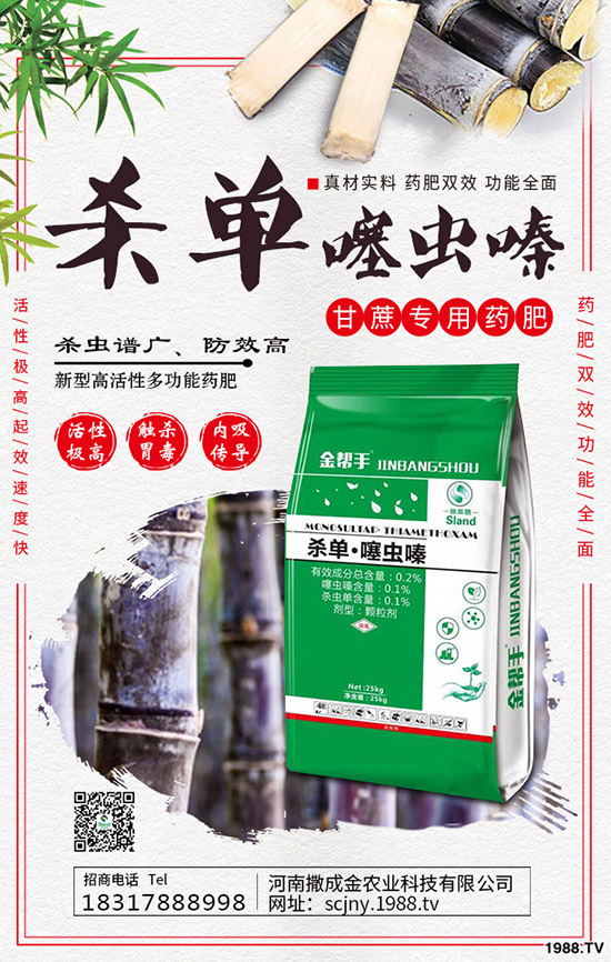 芹菜得了菌核病怎么辦？棚栽芹菜菌核病如何防治？