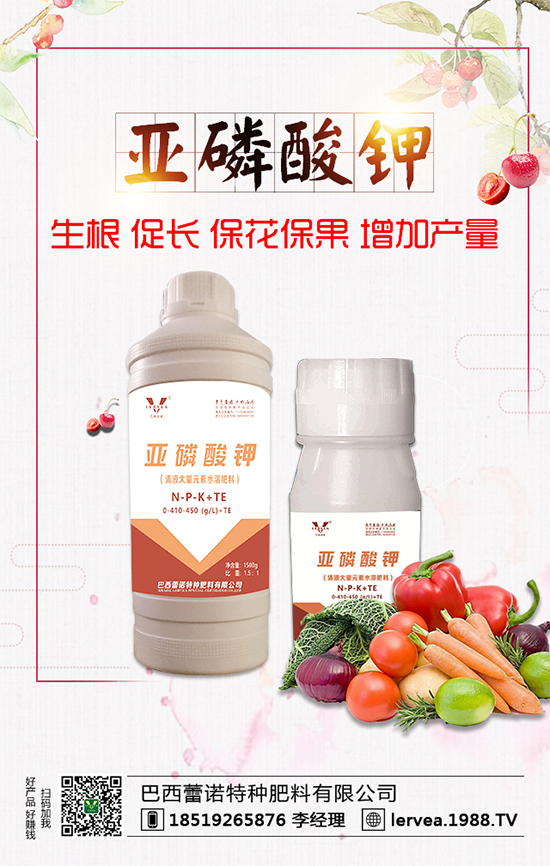 作物缺鉀有什么危害？鉀肥有什么作用？鉀肥種類選擇！