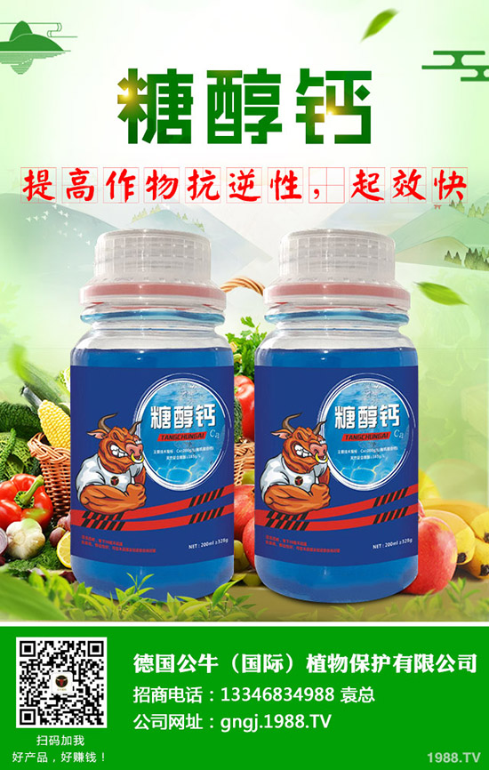 ����ʩ���v����������ʩ���Ľ���