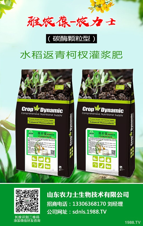     原料價格波動！復(fù)合肥成交受挫！2020年4月14日最新復(fù)合肥行情走勢分析：