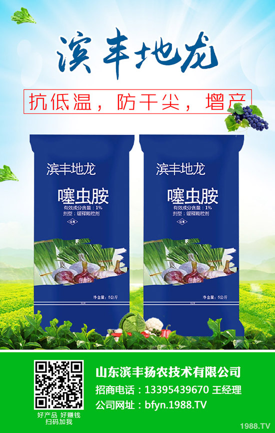     小麥?zhǔn)裁磿r(shí)間抽穗？小麥早出穗危害！怎么辦？補(bǔ)救措施有哪些？