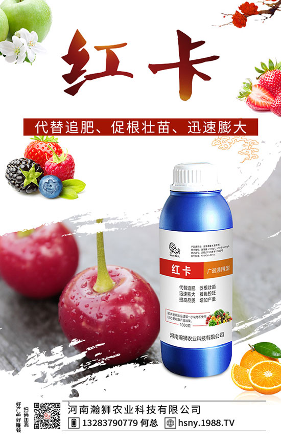 �����������ι�����������������Լ��g(sh��)Ҫ�c(di��n)