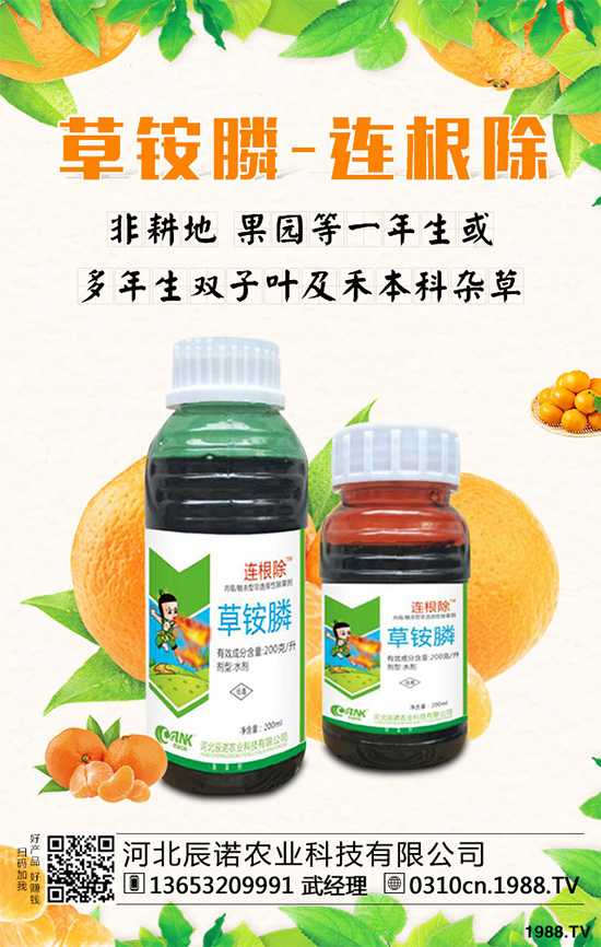 大豆田除草劑產(chǎn)品盤點—苗前篇