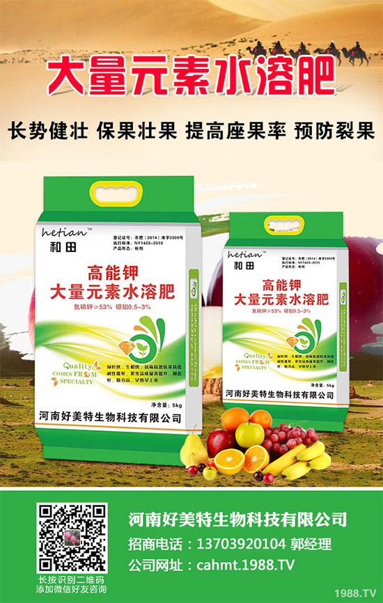 ��(x��)���[��ηNֲ���ܸ߮a(ch��n)����Ҫע��ʲô���@�傀(g��)С���ɷ���һ����