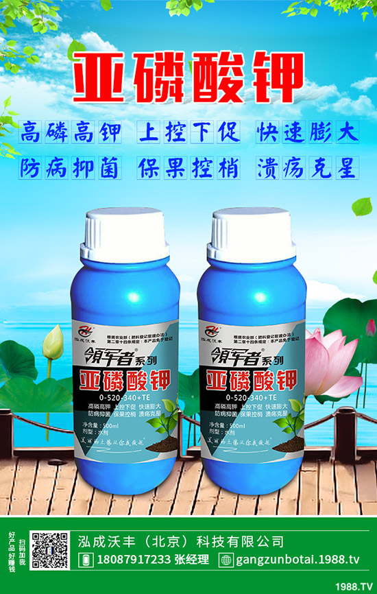 黃瓜彎瓜是什么原因呢？黃瓜彎瓜改善要訣！