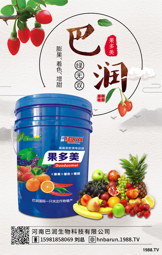     露地番茄該如何定植？定植密度是高產(chǎn)重要措施，快看看老農(nóng)怎么做！