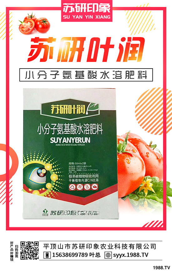 馬鈴薯該如何覆膜種植？馬鈴薯覆膜種植技術(shù)要點及存在的問題