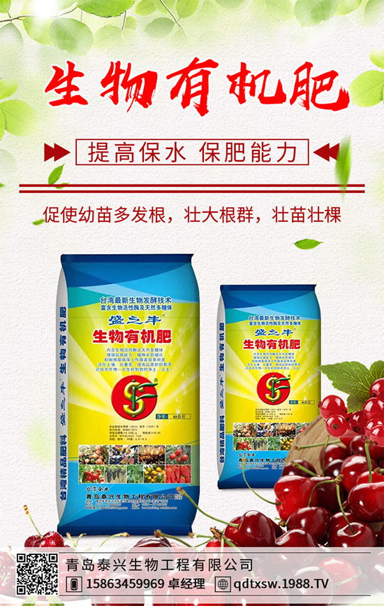 生姜該如何播種育苗？生姜高產(chǎn)栽培技術(shù)要點(diǎn)