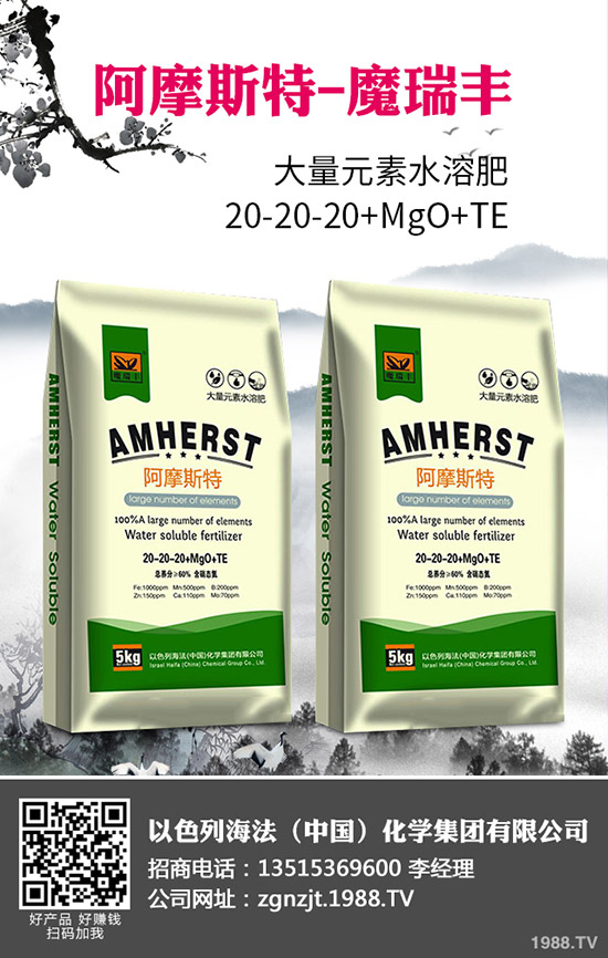 2020�괺����ʲô�r�g���N�������׷Nֲ���g(sh��)