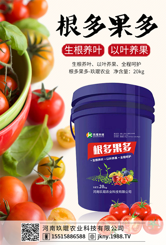 大棚韭菜該怎么種植？韭菜大棚管理技術要點