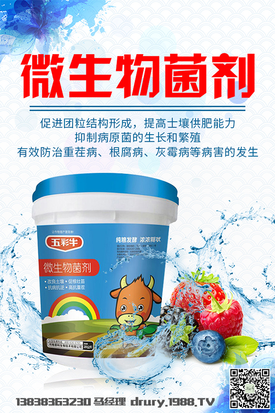 大棚韭菜該怎么種植？韭菜大棚管理技術要點