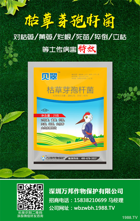 小麥赤霉病藥劑防治效果，有了新變化！