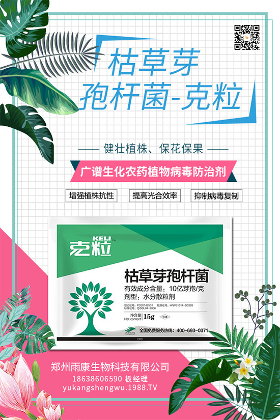 ����(n��i)��(d��)��(chu��ng)��ֲ��Դ����(x��)��ˎ���ذ����u��