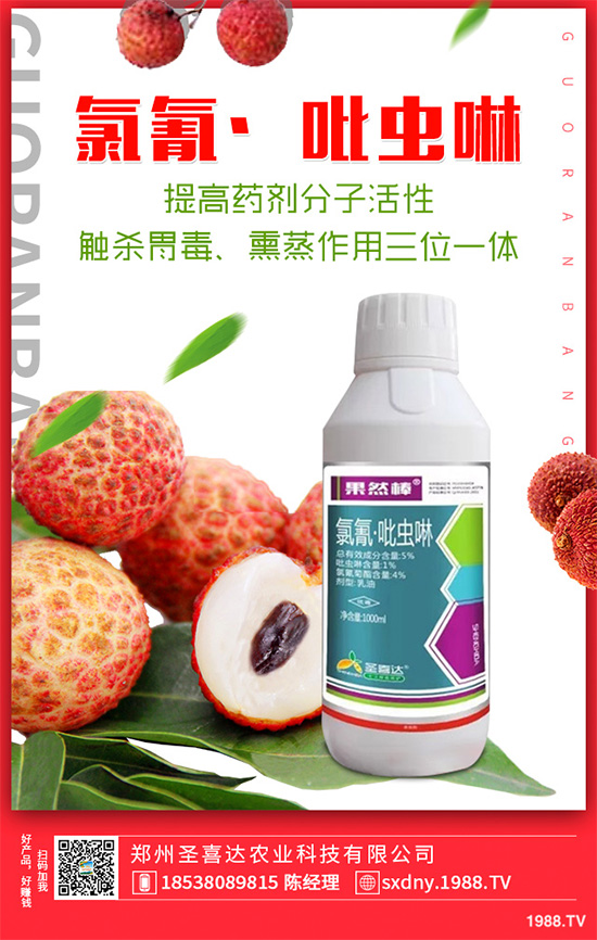 ����(xi��n)����ӛ��������(xi��n)�x(ch��ng)�y��߀�������������T��Ҫ���(qu��n)�����أ�