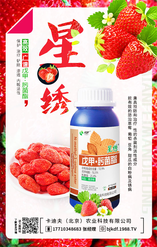 豆角要不要打尖？豆角如何正確整枝打尖呢？