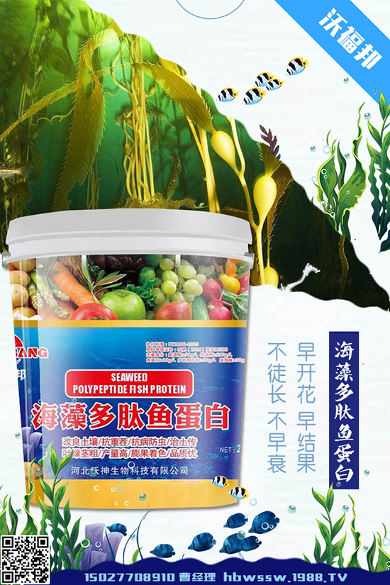     茄子種植需要注意哪些問(wèn)題，茄子的水肥管理要點(diǎn)！