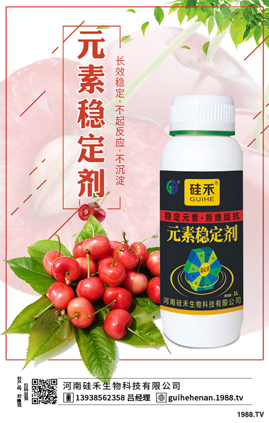 ��ˎԓ��ô�Nֲ����ˎ�Nֲ�İ˴��E��������(hu��)���