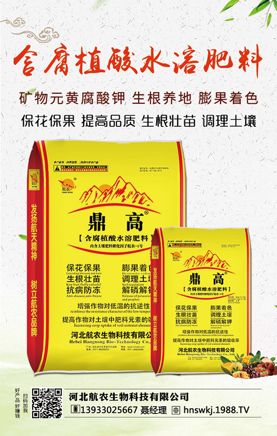 西瓜枯萎病如何防治？西瓜枯萎病和青枯病的區(qū)分！