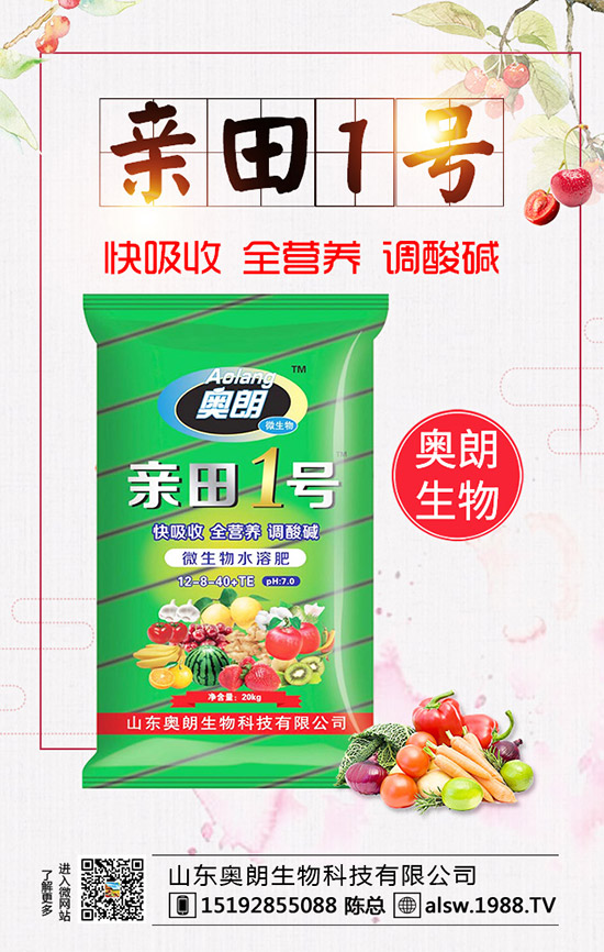  蘆筍種子處理及育苗技術(shù)，蘆筍定植后要如何管理？