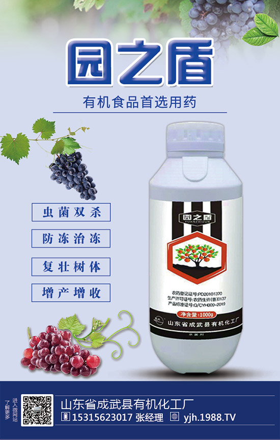 蘆筍如何施肥？蘆筍用什么肥料好？蘆筍需肥特點(diǎn)及注意事項(xiàng)！