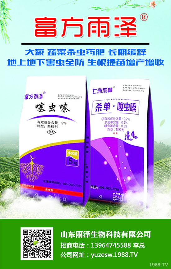 秋葵什么時(shí)間種植？秋葵種植生長(zhǎng)環(huán)境及整枝技術(shù)！