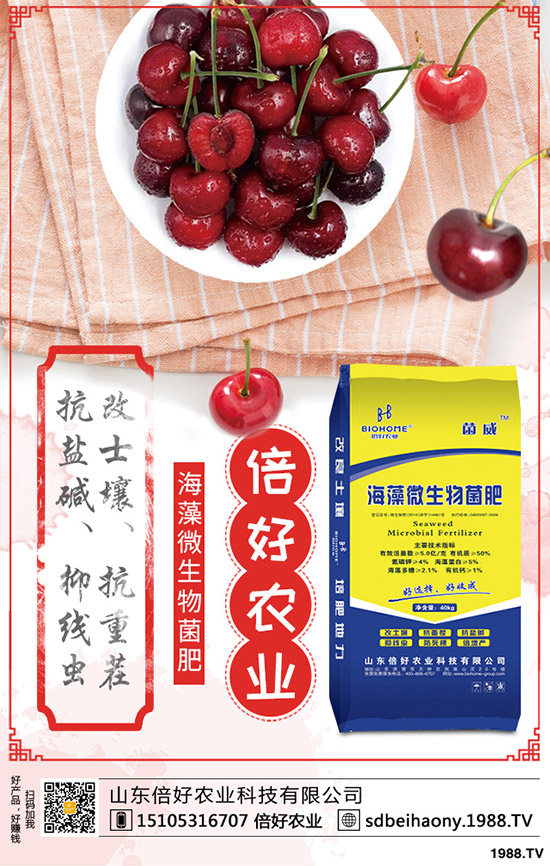     2020年4月26日國(guó)際鉀肥價(jià)格震蕩走低！最新鉀肥行情分析！