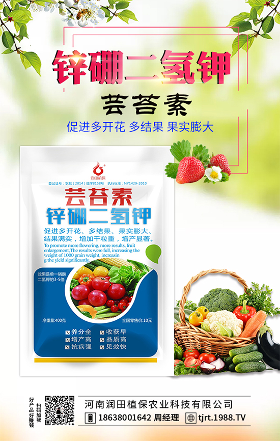 莧菜什么時(shí)間栽種？莧菜種植技術(shù)要點(diǎn)！