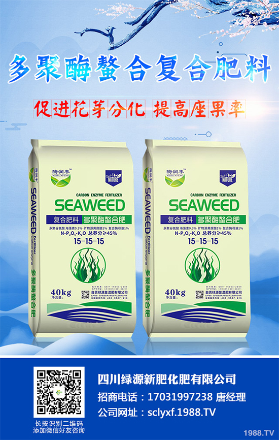 向日葵什么時(shí)候播種？該如何管理？高產(chǎn)向日葵高產(chǎn)種植管理技術(shù)