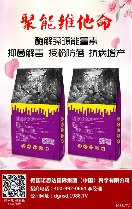 密本南瓜怎么種植？密本南瓜的栽培技術(shù)要點與方法！