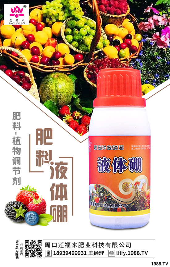 皂莢樹有哪些用途？該如何栽培？皂莢樹的栽培管理技術