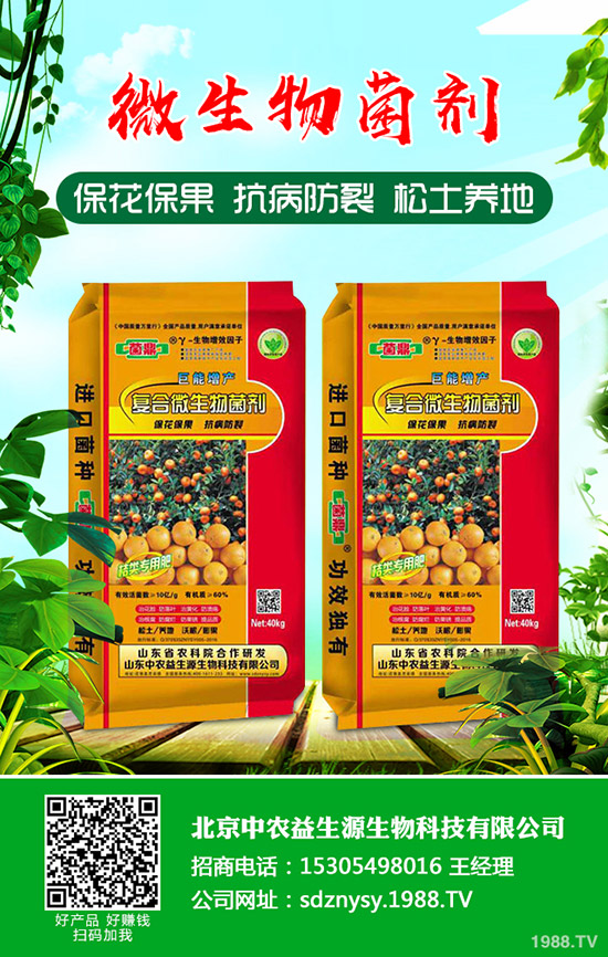     今年春耕化肥價(jià)格穩(wěn)定同比存在下調(diào)！鉀肥行情走勢(shì)如何？