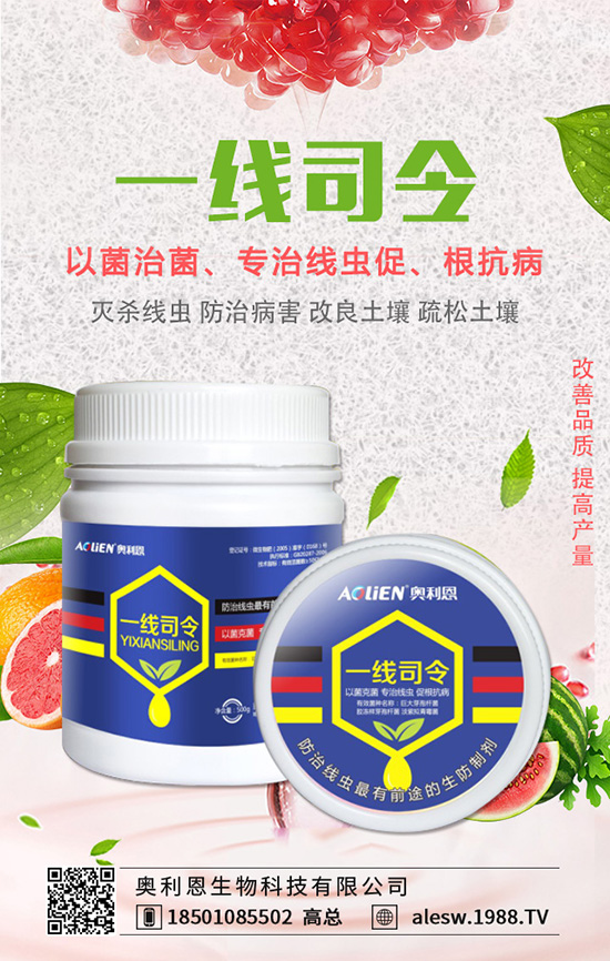 豌豆基腐病有什么危害？豌豆基腐病的發(fā)生規(guī)律及防治！