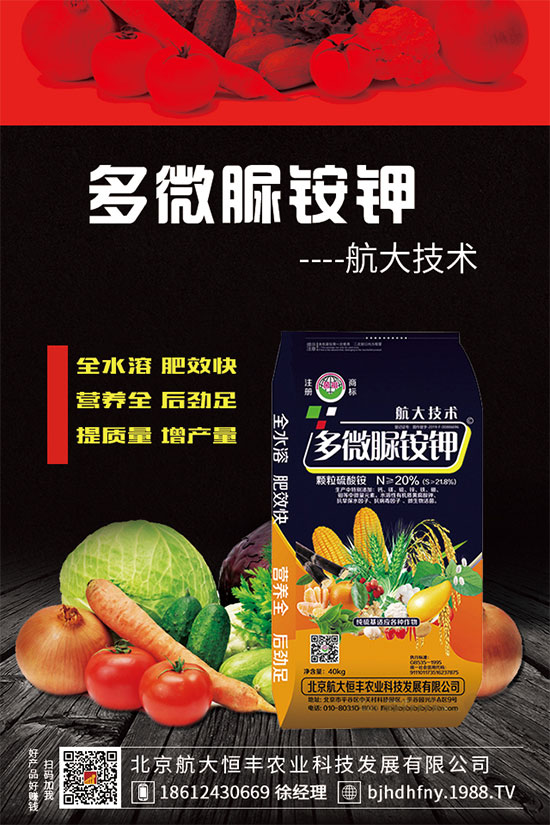 三七種子怎么種植？三七功效與作用有哪些？