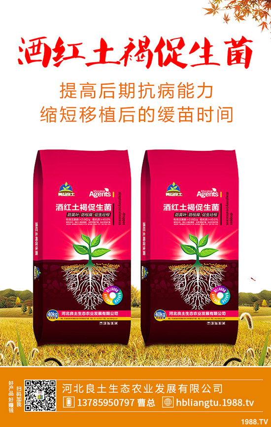 �{��ʲô�r��Nֲ�^�����{�˵ķNֲ���g�c���g����