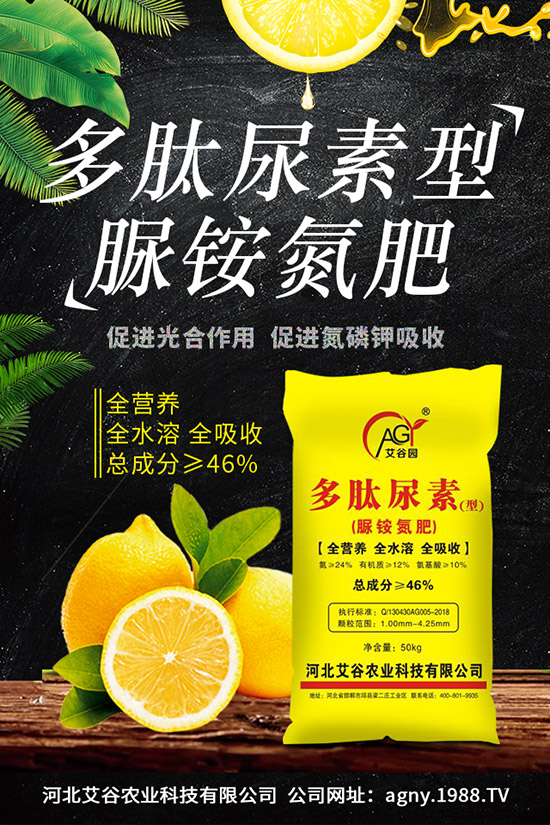 �ļ����NֲҪ�c(di��n)���ļ������缼�g(sh��)�����ڹ���