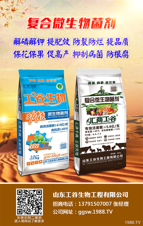 小麥條銹病正在肆虐，農(nóng)戶到底該咋辦？關(guān)鍵還是靠預防！