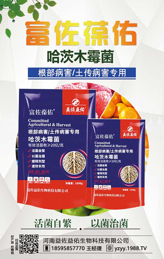 芋頭都有什么營(yíng)養(yǎng)價(jià)值？吃芋頭有什么好處？