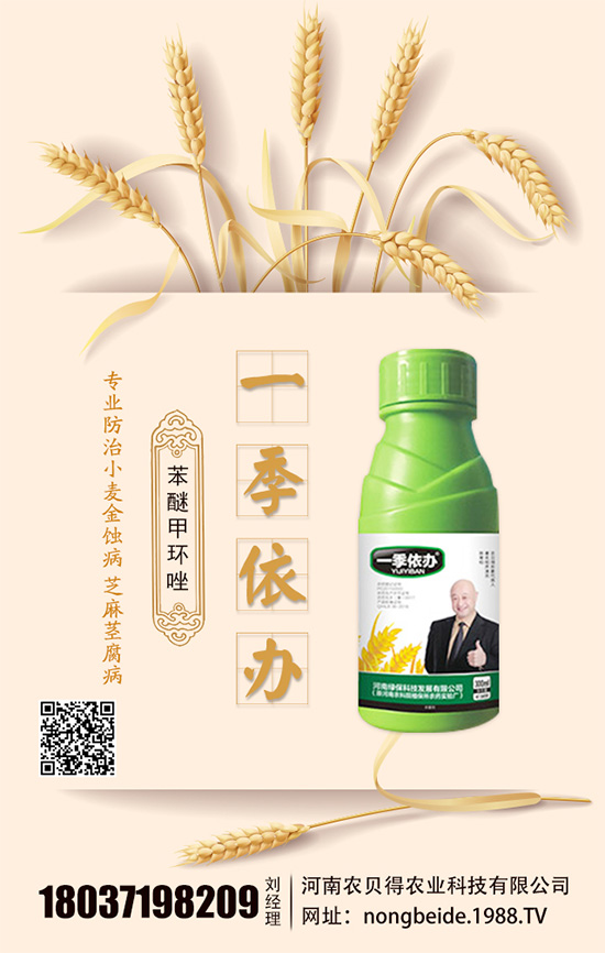 水培白掌怎么養(yǎng)？水培水培注意要點(diǎn)！