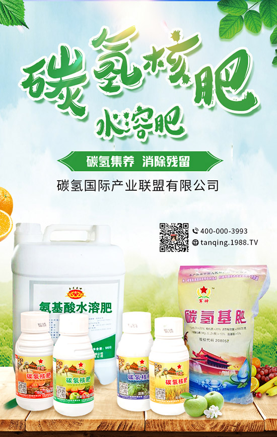     5月可以種什么菜？5月蔬菜種植指南及防注意事項(xiàng)！