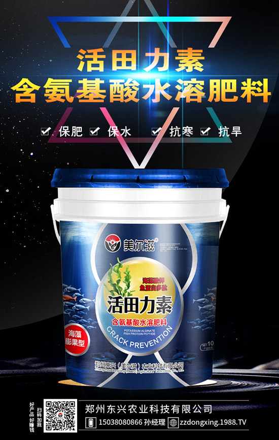 牛大力的種植的前景怎樣，牛大力種植技術(shù)及苗期管理！