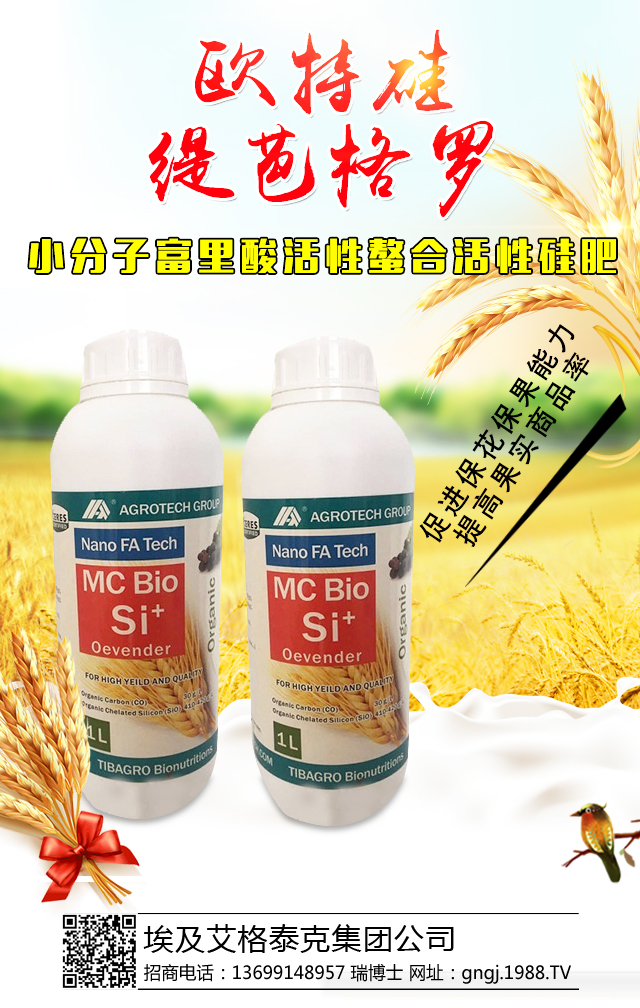 ��������̩�˼��F��˾