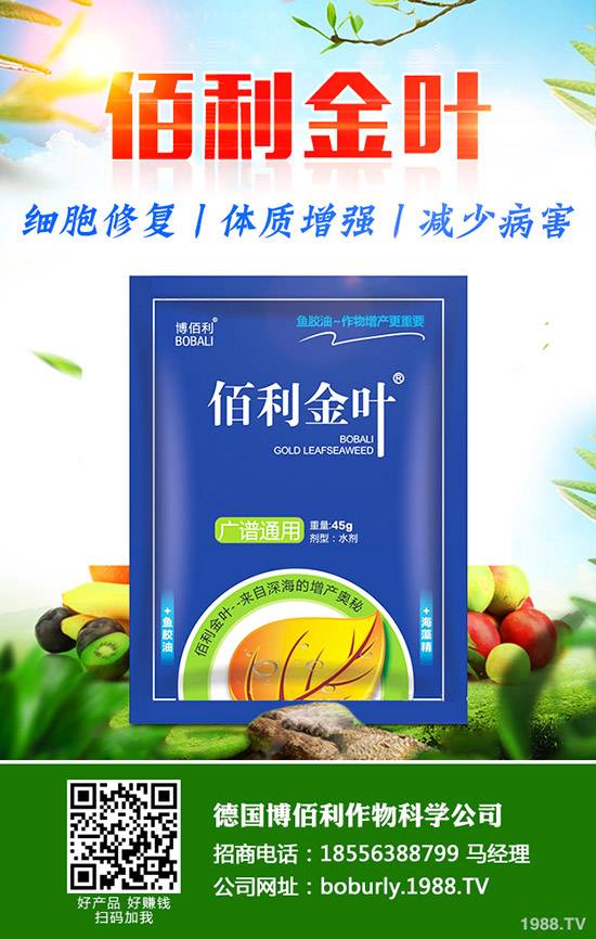     蘿卜撇葉中應(yīng)該注意什么？蘿卜撇葉的方法及注意事項(xiàng)！