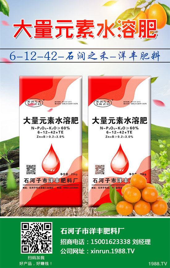 黃瓜嫁接好在哪里？有何優(yōu)勢？黃瓜嫁接的流程及注意事項(xiàng)