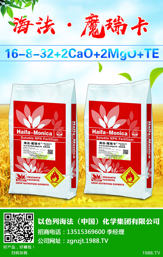     葡萄樹勢旺長發(fā)生原因有哪些？該怎么辦？葡萄的夏季控旺技術！