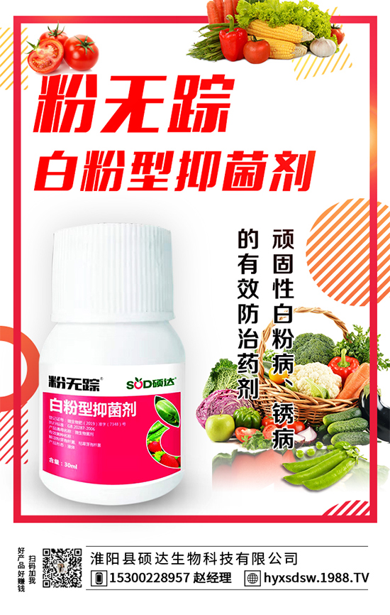 ������ô�Nֲ�������Nֲ���gҪ�c��