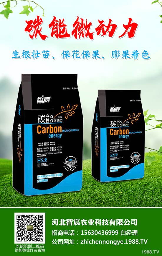 5月國內(nèi)磷肥市場何去何從？最新一銨二銨價格行情走勢預測！