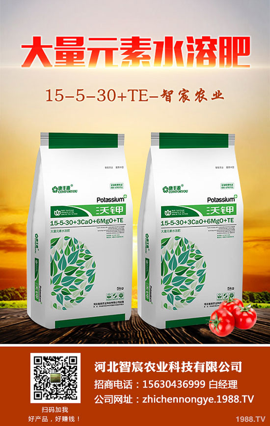 ����F��ô�B(y��ng)������F���B(y��ng)ֳ������ע�����